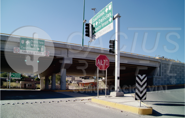productos cactus traffic