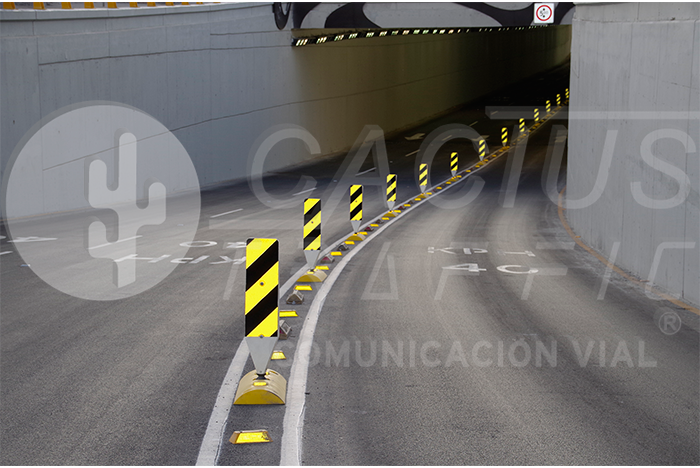 productos cactus traffic