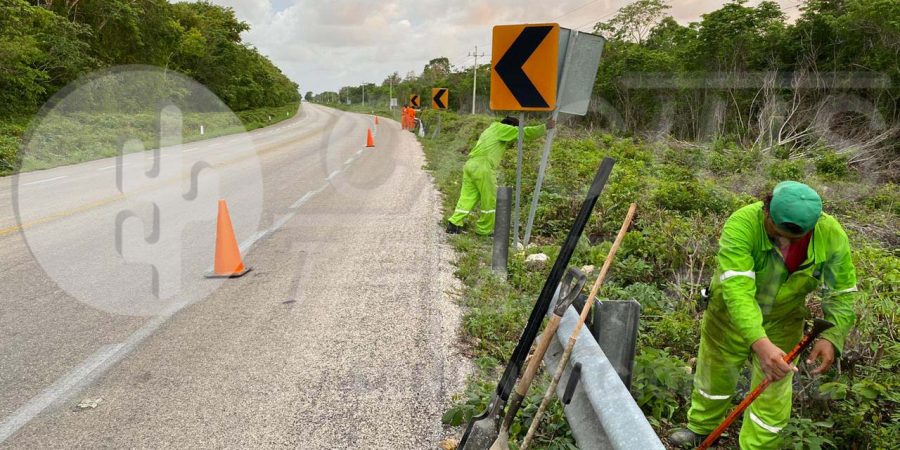 Instalación de Señalamiento Vertical en la red federal libre de Peaje en el estado de Quintana Roo_cactus traffic_1