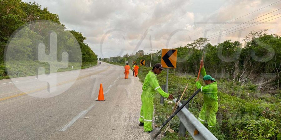 Instalación de Señalamiento Vertical en la red federal libre de Peaje en el estado de Quintana Roo_cactus traffic_2