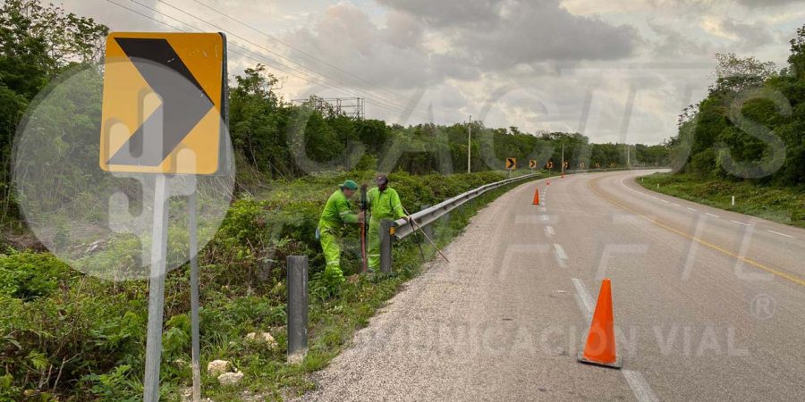 Instalación de Señalamiento Vertical en la red federal libre de Peaje en el estado de Quintana Roo_cactus traffic_3